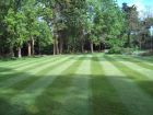 A super cut from one of our Countax ride-on mowers