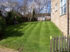 We maintained the &quot;grassed&quot; areas around a housing development and gradually turned it into a lawn!