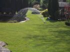 This photo taken not long after taking over this lawn under our Full Maintenance care plan.