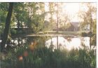 This small lake could not be seen before we refurbished it!