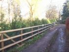 Rural settings need rural fencing! Half round rails over tensioned chain link mesh - completely animal proof.