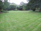 The same new area after the first cut - we sowed a Johnsons Amenity Mixture without ryegrass and irrigated until germination.