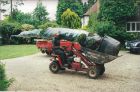 A 12 ft conifer -Thuja atrovirens is transported to its new home.